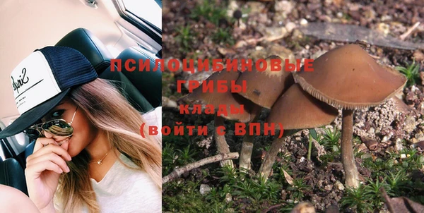 винт Елизово