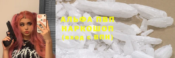 мет Ельня
