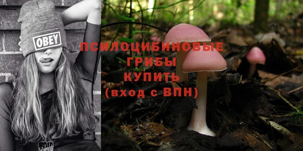 винт Елизово