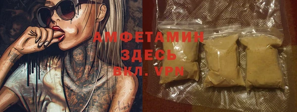 мет Ельня