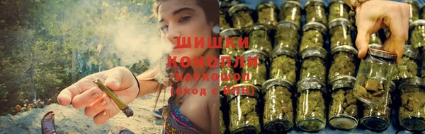 мет Ельня