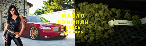 мет Ельня