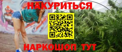 прущие грибы Гай