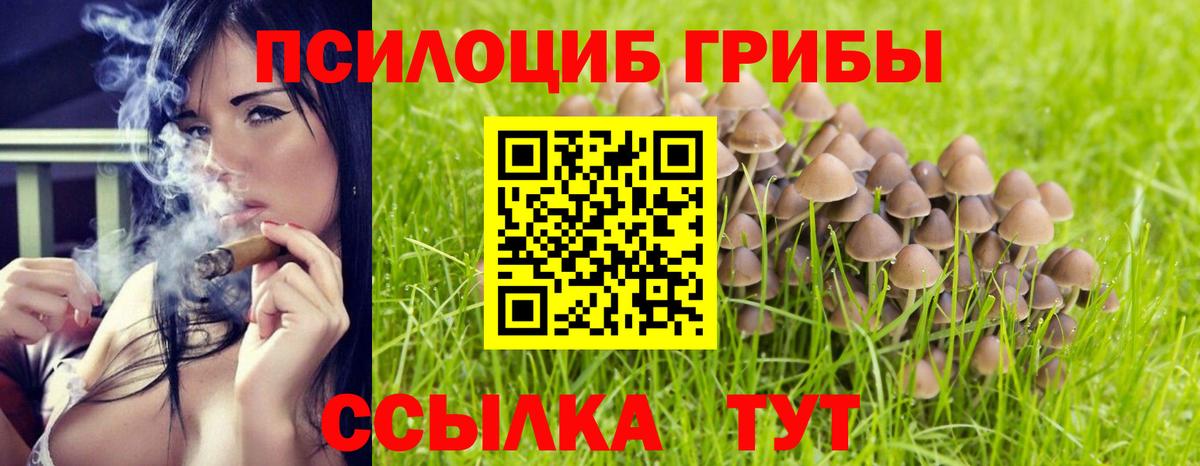 Галлюциногенные грибы мухоморы  Вход с VPN  Заводоуковск 